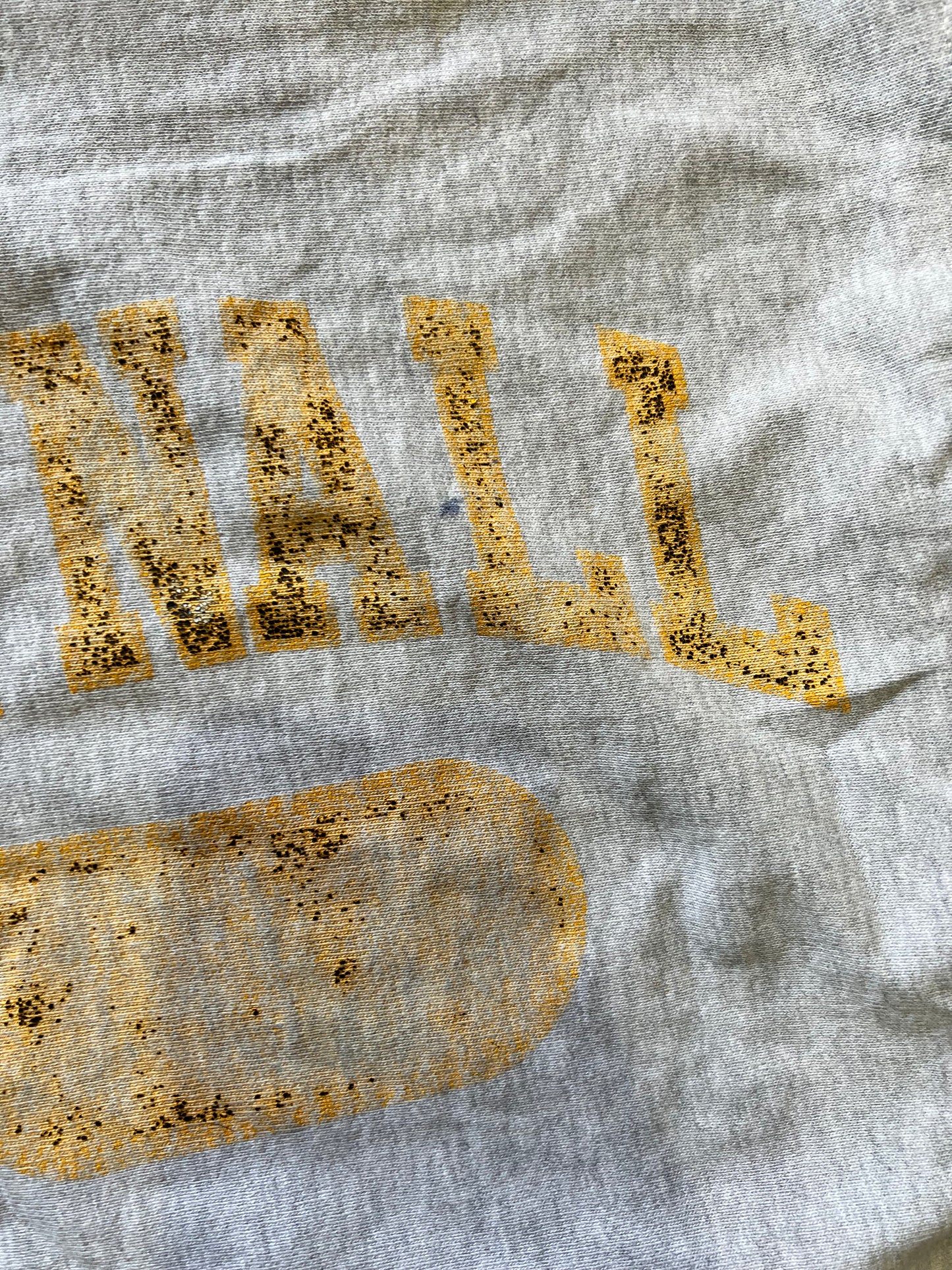 80s/90s Thrashed Reverse Weave Crewneck L/XL
