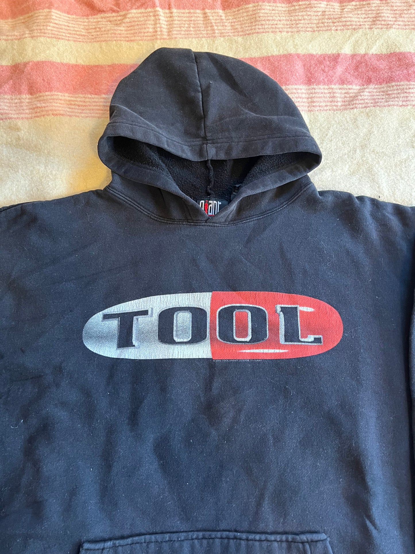 2000 Tool Hoodie (L)