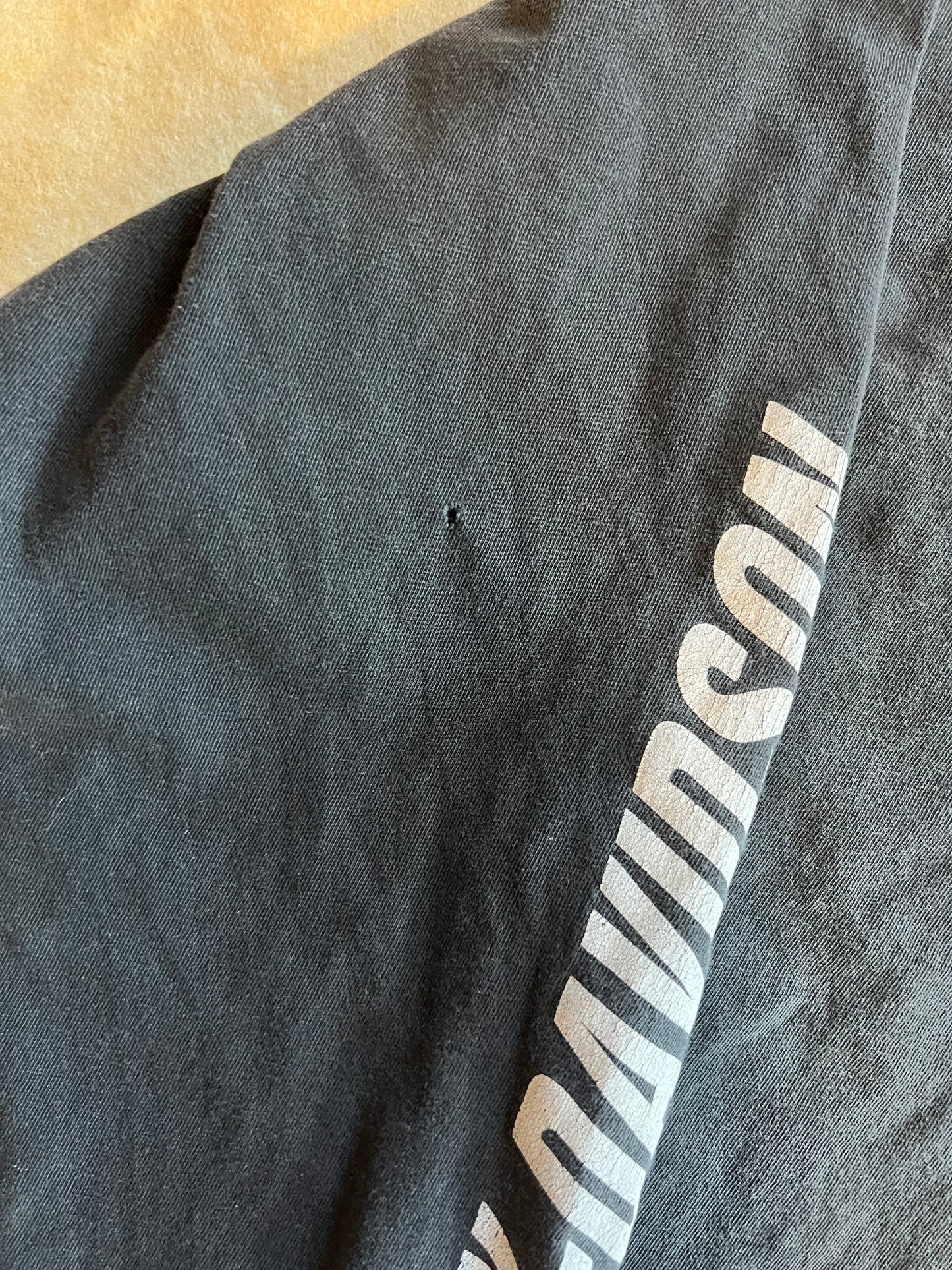 90s Faded Harley Davidson Longsleeve (XL)