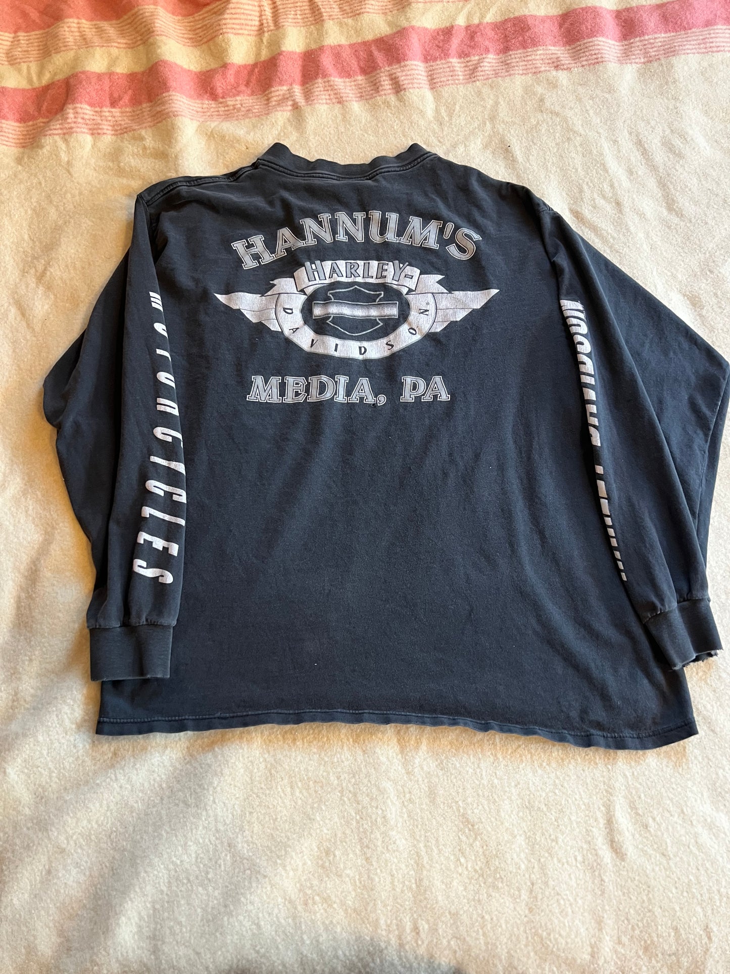 90s Faded Harley Davidson Longsleeve (XL)